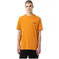 Dickies Artondale Box Kortarmet T-skjorte