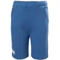 Helly Hansen Logo Shorts