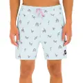 Hurley Cannonball Volley 17´´ Badebukse