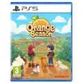 Sony Ps5 Orange Season
