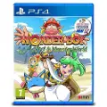 Sony Ps4 Wonder Boy Asha Monster World