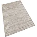 Wellhome 120x180 Cm Wh1029-6 Teppe