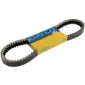 DAYCO Sym Joymax 250cc Transmisjonsrem