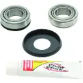 Pivot Works Suz.rm 85 05-16/drz 125 03-15-l 03-16 Styrelagersett
