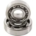 Hotrods Yamaha Grizzly 550-660-700/rhino 660-700 Svingarmlagersett