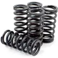 Dp Brakes Hds137-4 Honda Crf Clutchfjærsett 4 Enheter