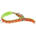 Ferplast Dual 25 Mm 45 Cm Hundehalsbånd