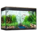 Fluval Roma Led Bluetooth 125l Akvarium