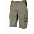 U Power Bonito Shorts