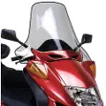 Givi D199st Peugeot Sv 250&honda Pantheon 125/150&foresight 250 Frontrute