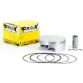 ProX Beta Rr520 ´10-11 + Rr498 ´12-14 12.0:1 99.96 Mm Stempel