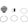 Vertex Piston 24196a Stempelsett