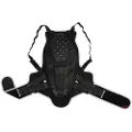 Alpinestars Bionic Ryggbeskytter
