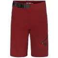 Sweet Protection Hunter Shorts