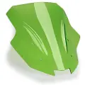 Puig Racing Kawasaki Ninja 1000sx 2025 Frontrute