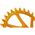 Garbaruk E13 Boost Ovalt Drev