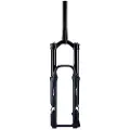 Formula Selva C Boost 15x110 Mm 43 Offset Mtb-gaffel