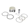 Athena S4f081500020 Forged For Oe Cylinder U00d881.5 Mm Stempel