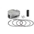Vertex Piston Gp Racer D77.96 24629b Stempelsett