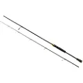 Ryobi Ultimate Warrirorgx Spinnestang