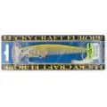 Lucky Craft Live Fm Minnow 19g 120 Mm