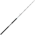 Daiwa Saltiga Deep Jigging Stang