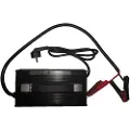 Zasdar Lifepo4-lader 30a