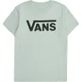Vans Classic Kids T-skjorte grønn