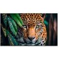 Newline Stv-5524p 55´´ 4k Lcd Skjerm