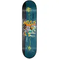 Foundation 8.38 Servold Traveler Skateboarddekk