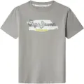 Pepe Jeans for boy. PB503976 T-shirt Felix grey (4años= 80cm), Casual, Cotton, Short sleeve, children's fashion