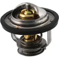 RMS Beauty Piaggio Porter 1.3 100120721 Termostat
