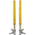 Öhlins Fgr200 Ducati V4 Panigale 2018-2024/v4r Panigale 2025 Forgaffel