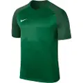 Nike Dry Trophy Iii Kortarmet T-skjorte