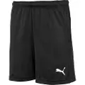 Puma Liga Training Shorts