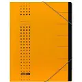 Pierre by Elba 400002022, Gult, Kartong, A4, 450 g/m², 250 mm, 12 mm