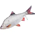 Gaby Roach Medium Puten