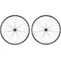 Massi Venom Replica 2 29´´ 6b Disc Mtb-hjulsett