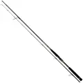 Daiwa Morethan Branzino Ags Spinnestang