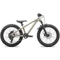 Specialized P1 Trail 20´´ Advent 2025 Sykkel