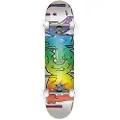 DGK Wet Paint Skateboard