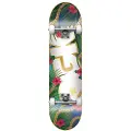 DGK Vacation Skateboard