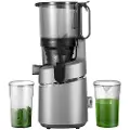 Amzchef Sj-036 250w Juicer