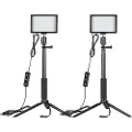 Neewer Kit ZC-10S to lamper LED + filtre + stativ