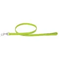 Collar Pet Leather Hundebånd
