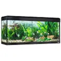 Fluval Roma Led Bluetooth 240l Akvarium