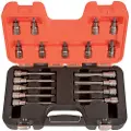 Bahco Sett Med 1/2´´ Piper Med Torx-bits 18 Enheter