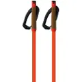 Fischer Storm Gtx L Spaserstokker