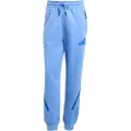 Adidas Z.n.e Bukser