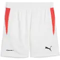 Puma Individual Tra Shorts